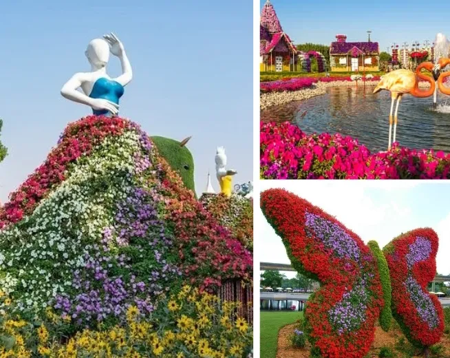 Dubai Miracle Garden And Butterfly Garden Visit